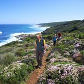 Group hiking Cape to Cape Track credit www.margaretriver.com (2)